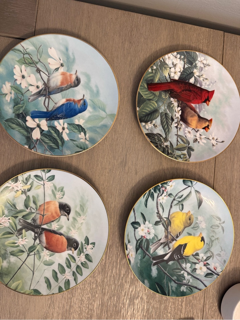 Decorative Bird Plate Set - Floral Bird Design in Multi-Color